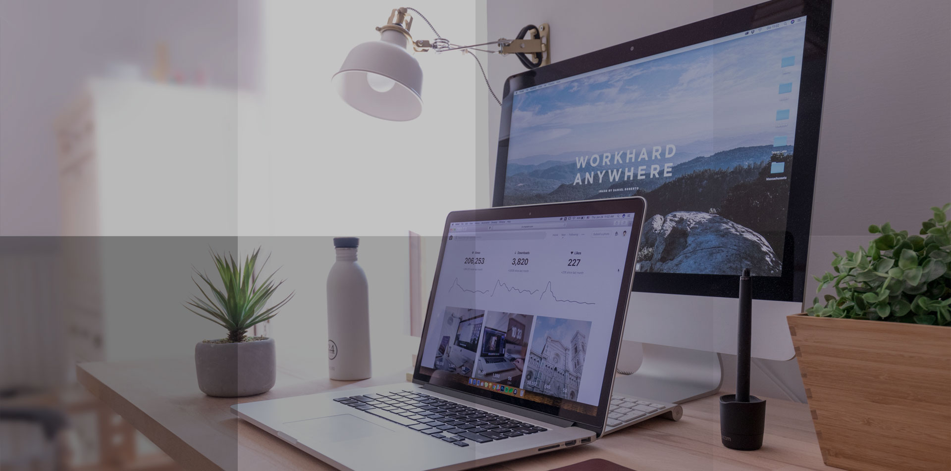Managed Care + Rental